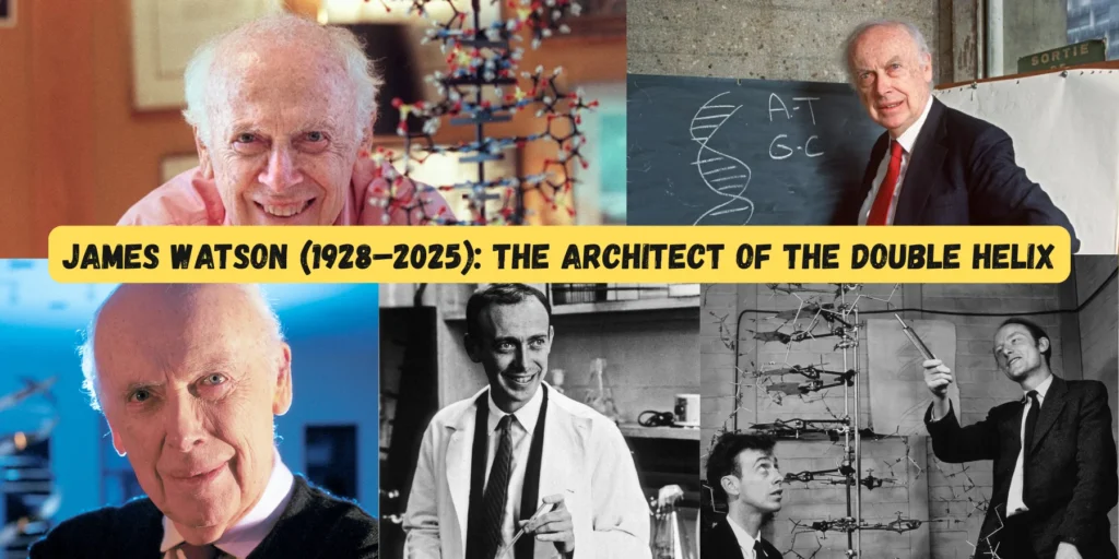 James Watson (1928–2025): The Architect of the Double Helix